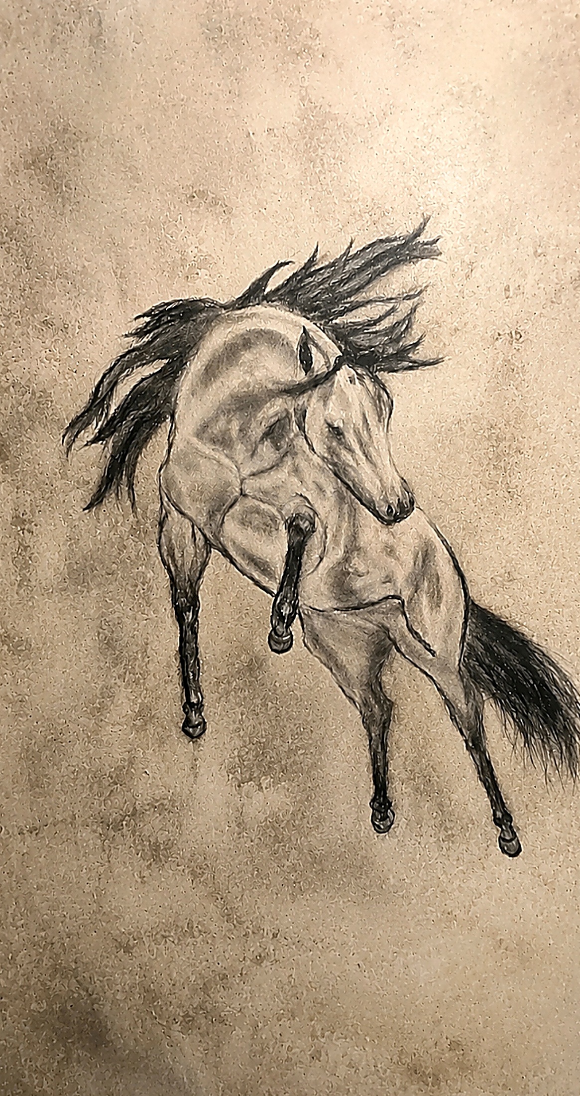 Pierre chauffante MIADEA — Pierre gravée — le cheval
